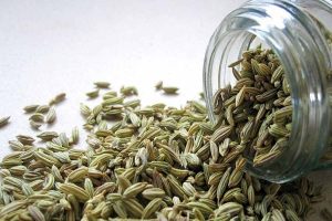 Fennel Seeds