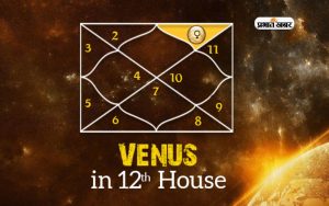 Shukra Dev venus in the 12th house of the kundali