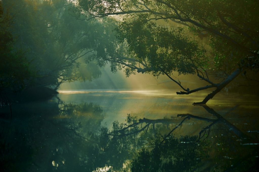 Sundarbans