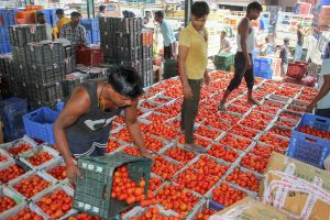 Tomato Price Hike