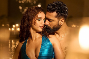 Vicky kaushal and tirpti dimri