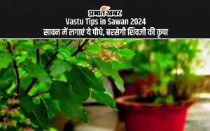 Vastu Tips in Sawan 2024 सावन में लगाएं ये पौधे, बरसेगी शिवजी की कृपा