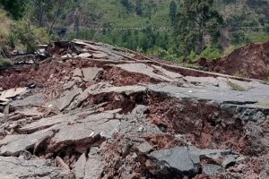 Wayanad landslides