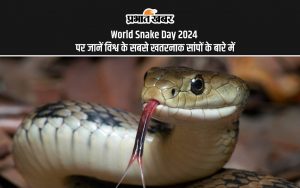 World Snake Day 2024 पर जानें विश्व के सबसे खतरनाक सांपों के बारे में