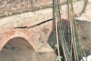 bihar bridge collapse