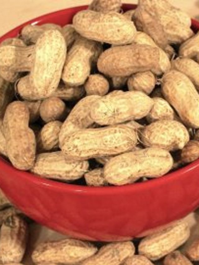 Cropped Roasted Peanuts 1