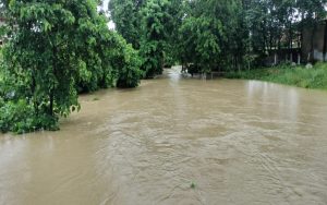 bihar flood