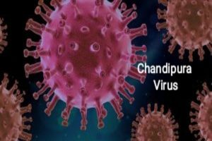 Gujarat Chandipura Virus :