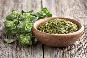 oregano benefits