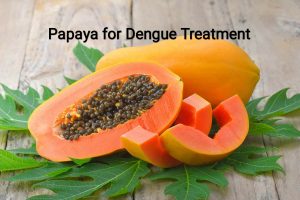 papaya leaves in dengue