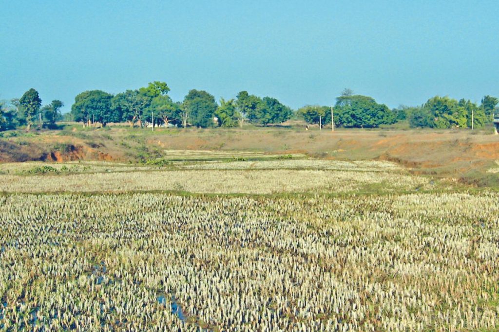 Soil Degradation In Jharkhand 1