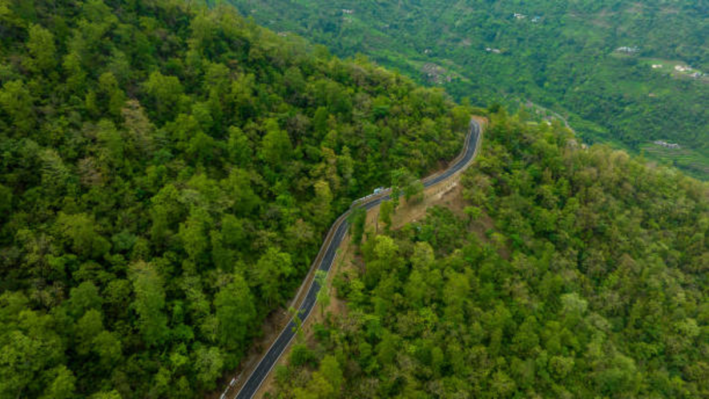 अंतर्राष्ट्रीय प्लास्टिक बैग मुक्त दिवस 31