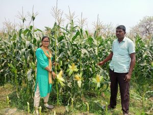 पूर्णिया स्वीट कॉर्न उत्पादक किसान शशिभूषण सिंह व कृषि अधिकारी.