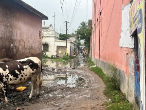 मधेपुरा के पूर्णिया गोला के समीप मुहल्ले की कीचड़मय सड़क.