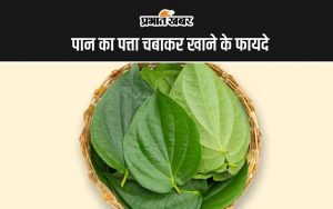 Betel Leaf Benefits