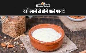 Curd Benefits