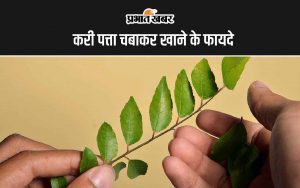 Curry Leaves Chewing Benefits