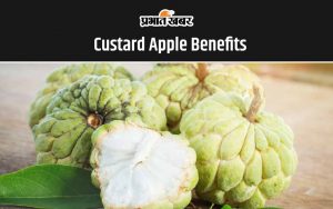 Custard Apple Benefits