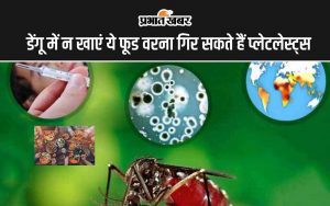 Foods to Avoid in Dengue