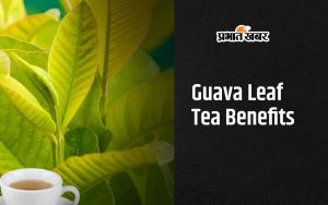 Guava Leaf Tea Benefits