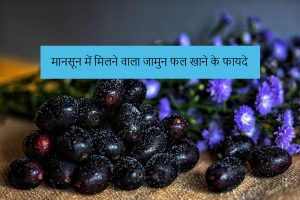 Jamun fruit found in monsoon