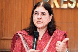 Maneka Gandhi