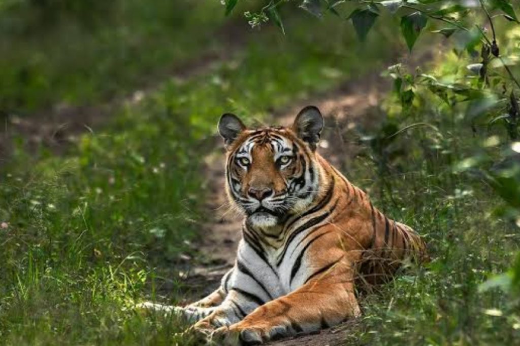 Nagarhole National Park, Karnataka