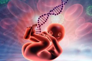 Y Chromosome: अब धरती पर नहीं पैदा होंगे लड़के, केवल लड़कियां लेंगी जन्म! रिसर्च ने मचाई सनसनी, जानें क्या है सच्चाई