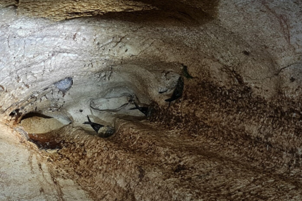 Niah Cave Complex 2