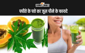 Papaya Leaf Juice Benefits