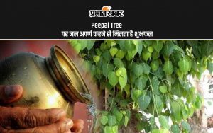 Peepal Tree पर जल अपर्ण करने से मिलता है शुभफल