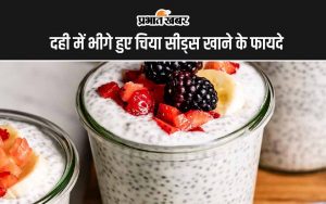 Soaked Chia Seeds With Curd