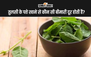 Tulsi Leaves Benefits