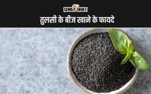 Tulsi Seeds Benefits