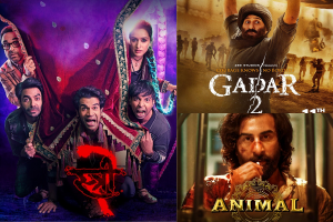 Stree 2 beats Gadar 2 and Animal