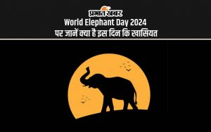 World Elephant Day 2024 पर जानें क्या है इस दिन कि खासियत