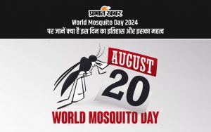 World Mosquito Day 2024 पर जानें क्या है इस दिन का इतिहास और इसका महत्व