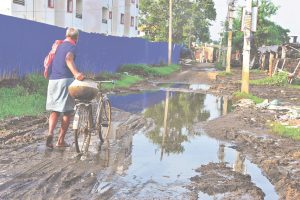 Farbisganj Road