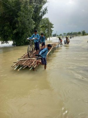 Flood Impact on Agriculture