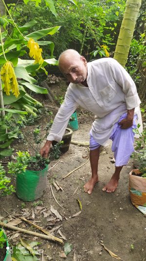 Organic Rooftop Farming