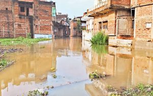 Ganga river erosion