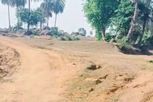 Road Condition Issues