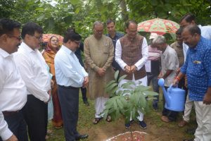 पौधरोपण करते केंद्रीय कृषि मंत्री शिवराज सिंह चौहान