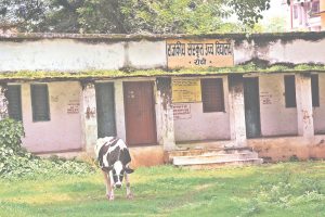 world sanskrit day and schools of jharkhand