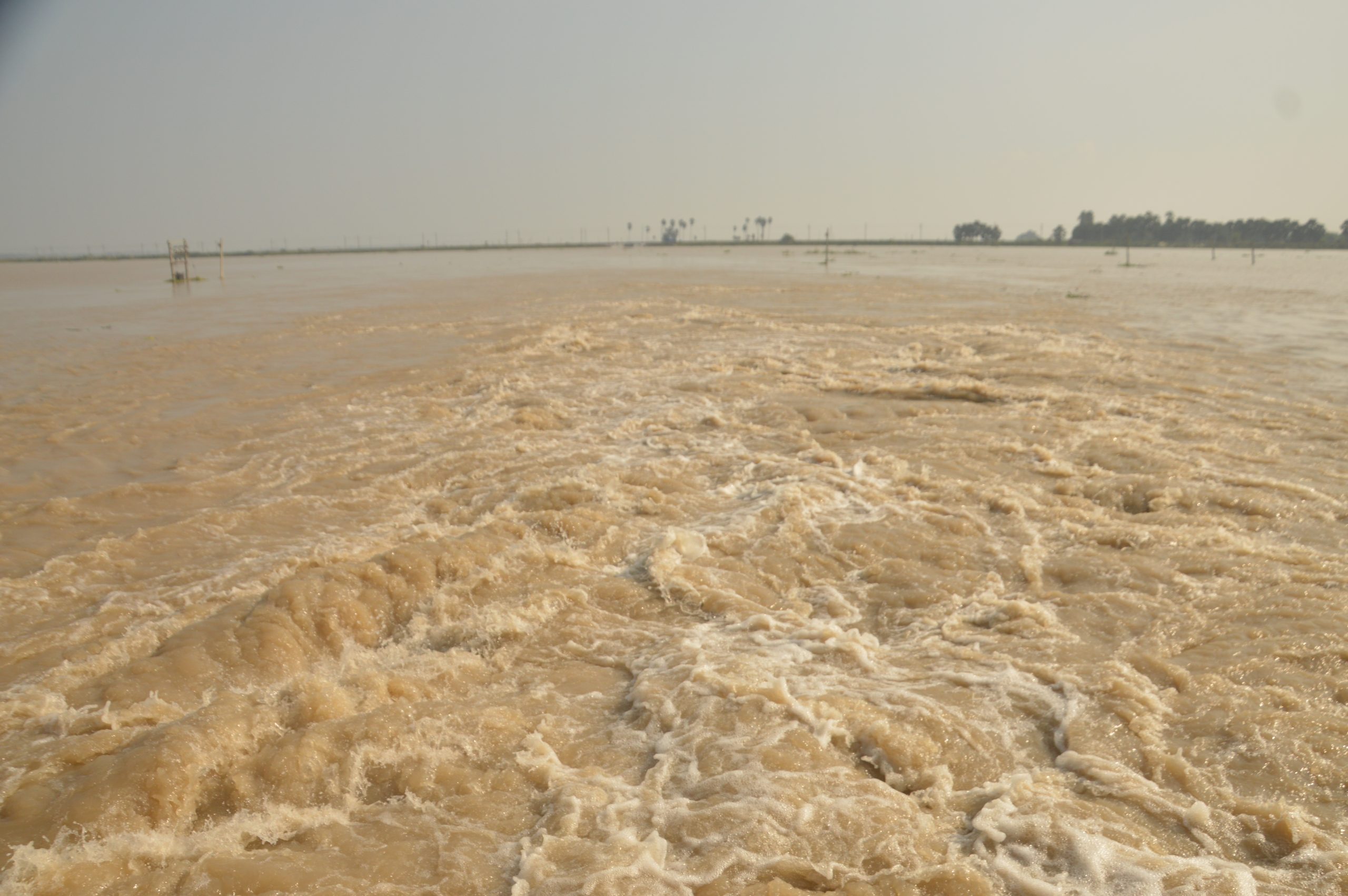 Bihar Flood: बिहार में डूबने से 10 से अधिक लोगों की मौत, काल बनकर लोगों को निगल रहा बाढ़ का पानी