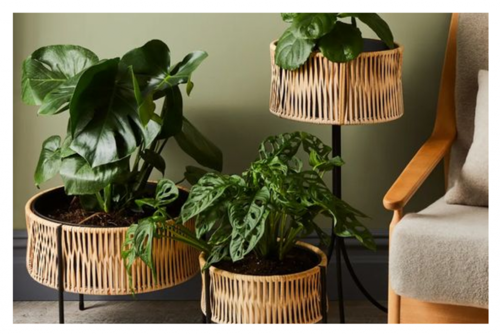 Bamboo Home Decor