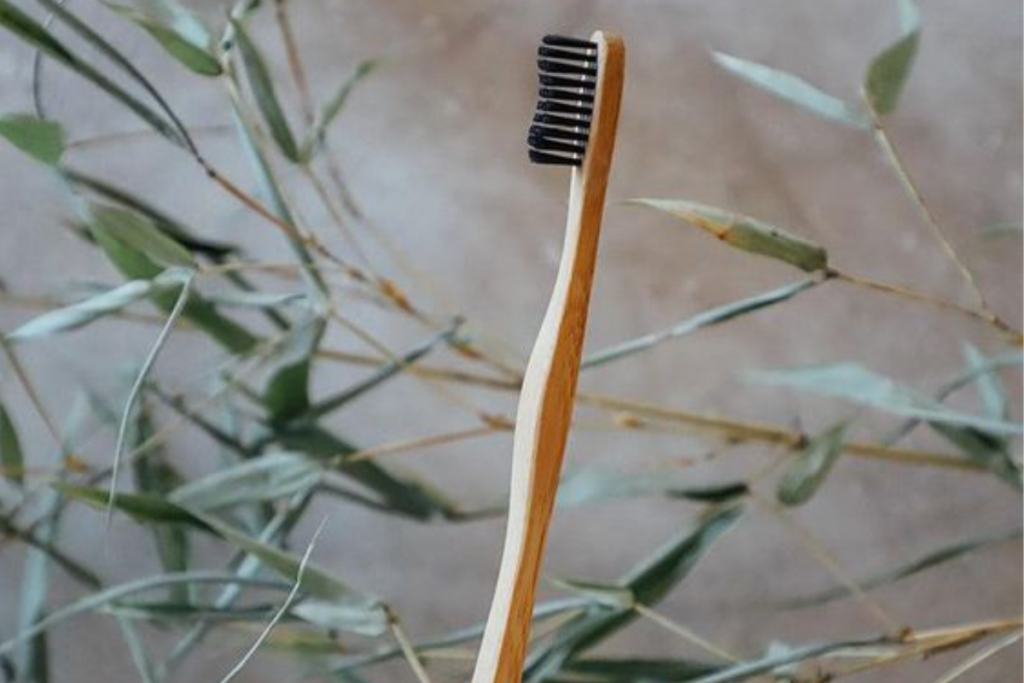 Bamboo Toothbrush 3