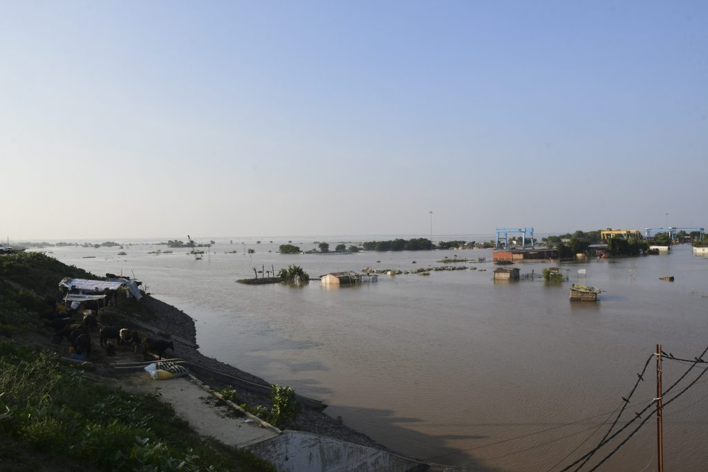 Bihar Flood 13