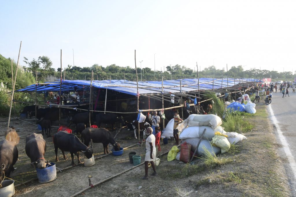 Bihar Flood 8