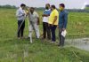 Bihar Land Survey News